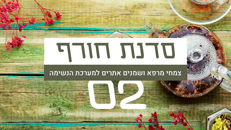 סדנת חורף חלק 2 (1)